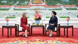 彭丽媛与德国总统夫人茶叙