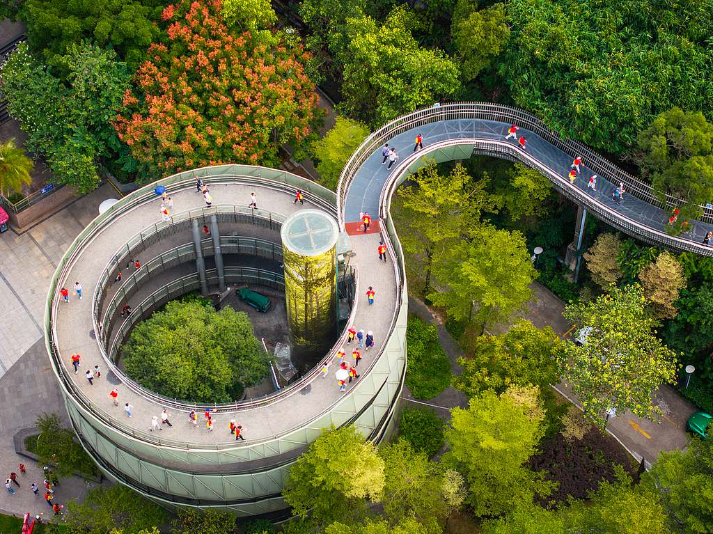 Autumn view of an elevated steel forest walkway at Jinniushan, Fuzhou, east China's Fujian Province, October 25, 2026. /VCG