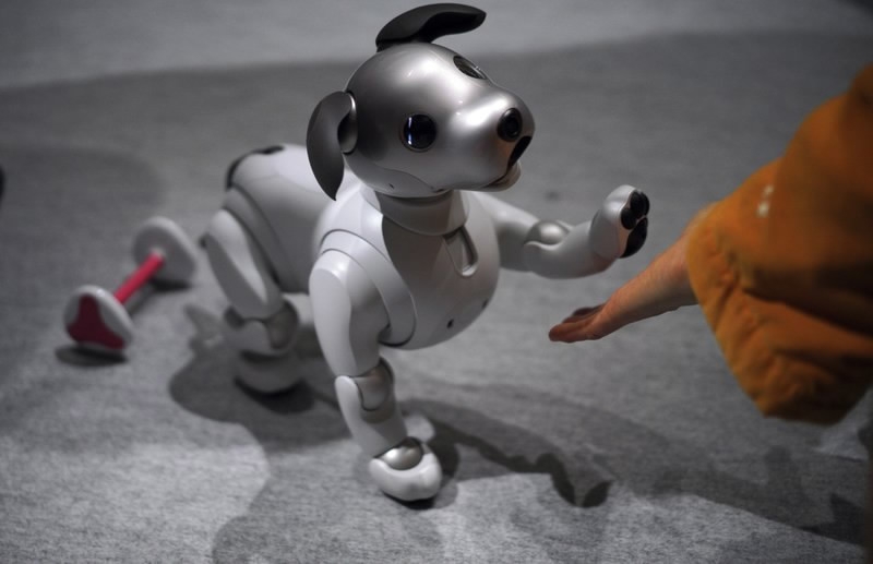 Japan develops robots for pet lovers who can't have pets