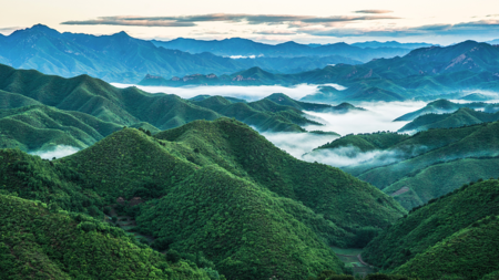 China improves ecological quality of vegetation 2000-2019: report - CGTN