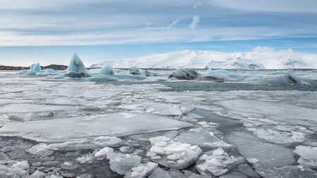 November 2019 was second hottest on record: NOAA - CGTN