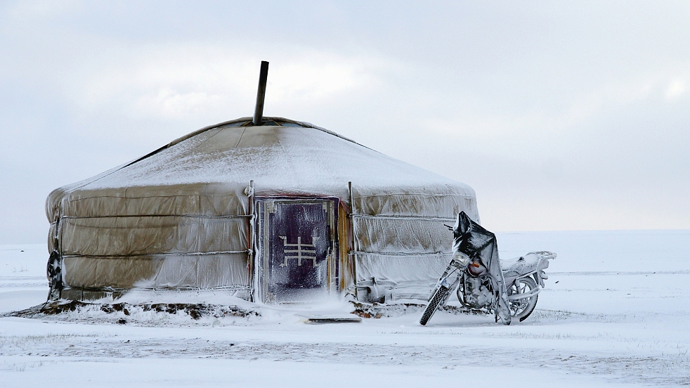 Plants & Nations: Mongolia 