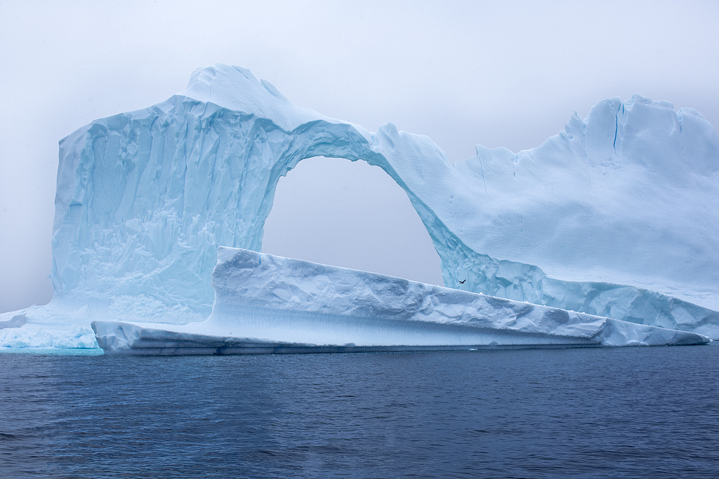 Крупнейшее антарктическое. Ледник эймери. Ледник Росса в Антарктиде. Китовая бухта Антарктида. Ледник Бранта в Антарктиде.