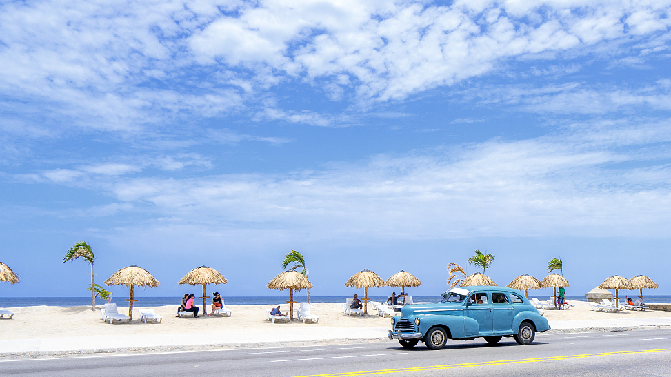 Plants & Nations: Cuba 