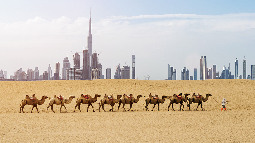 Plants & Nations: The United Arab Emirates