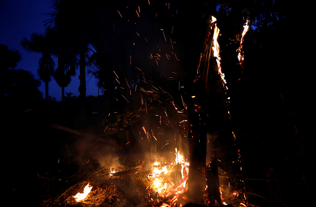 Fire on the Amazon 1993. Fire on the Amazon Bullock. Burning Jungle. Ashes Brazil Burning in Flames.