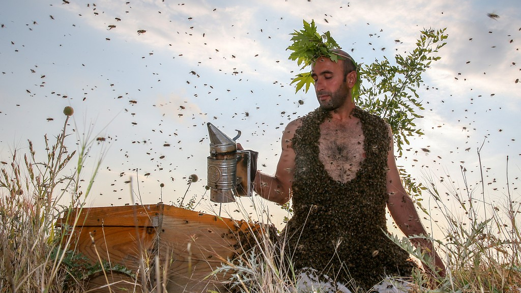 Fearless Turkish Beekeeper Grows Bee Beard For Guinness World Record Cgtn