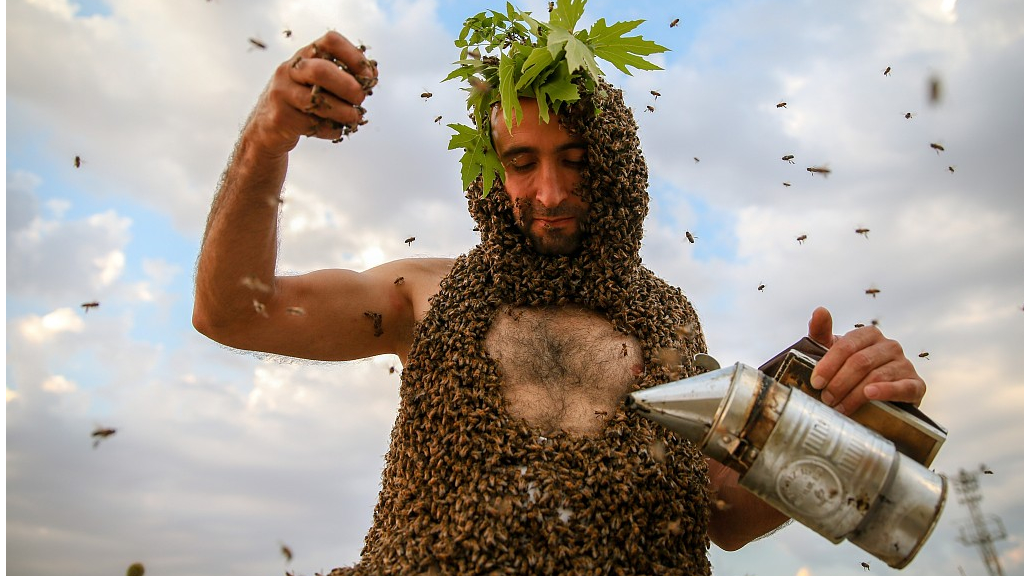 Fearless Turkish Beekeeper Grows Bee Beard For Guinness World Record