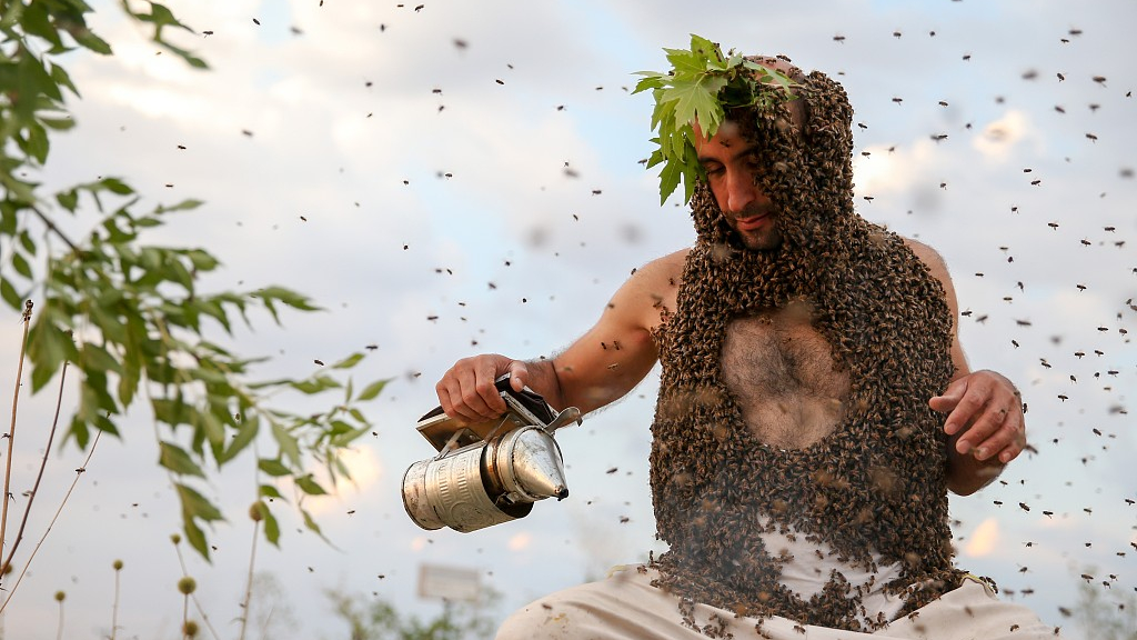 Fearless Turkish Beekeeper Grows Bee Beard For Guinness World Record Cgtn