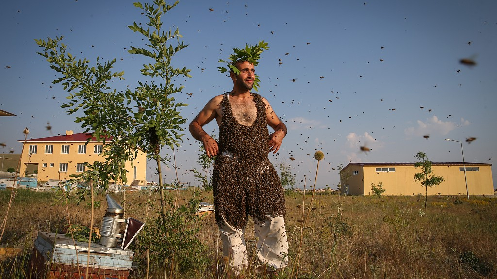 Fearless Turkish Beekeeper Grows Bee Beard For Guinness World Record Cgtn