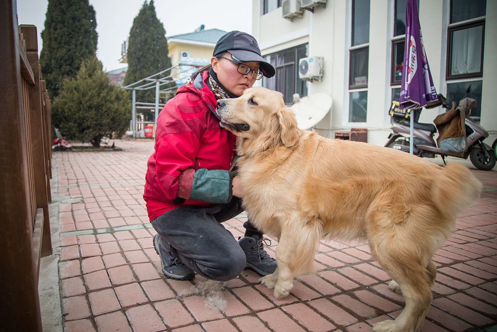 International Blind Dog Day: Tips to take care of your visually impaired dog  - Hindustan Times