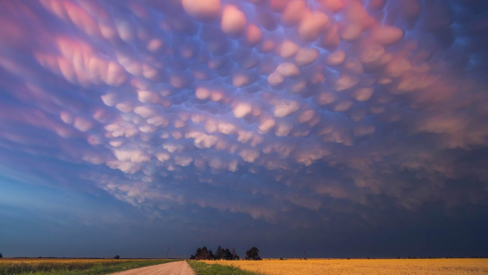 Употребление небом. Вымеобразные облака (Mammatus cloud). Вымеобразные трубчатые облака. Облака мамматус атмосферное явление. Красивое небо.