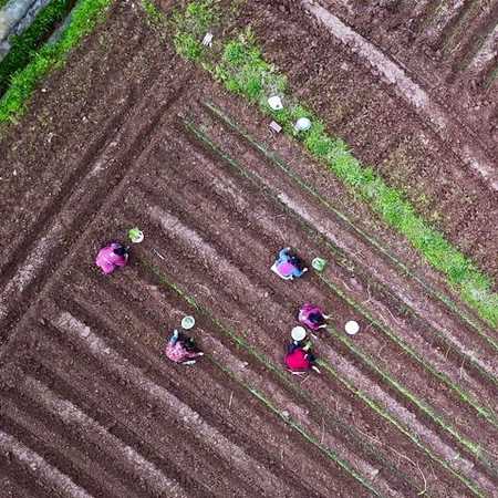 Live: Press briefing on support for agri-production amid COVID-19 - CGTN