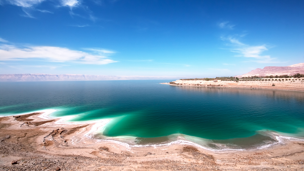What organism can survive in the Dead Sea? - CGTN