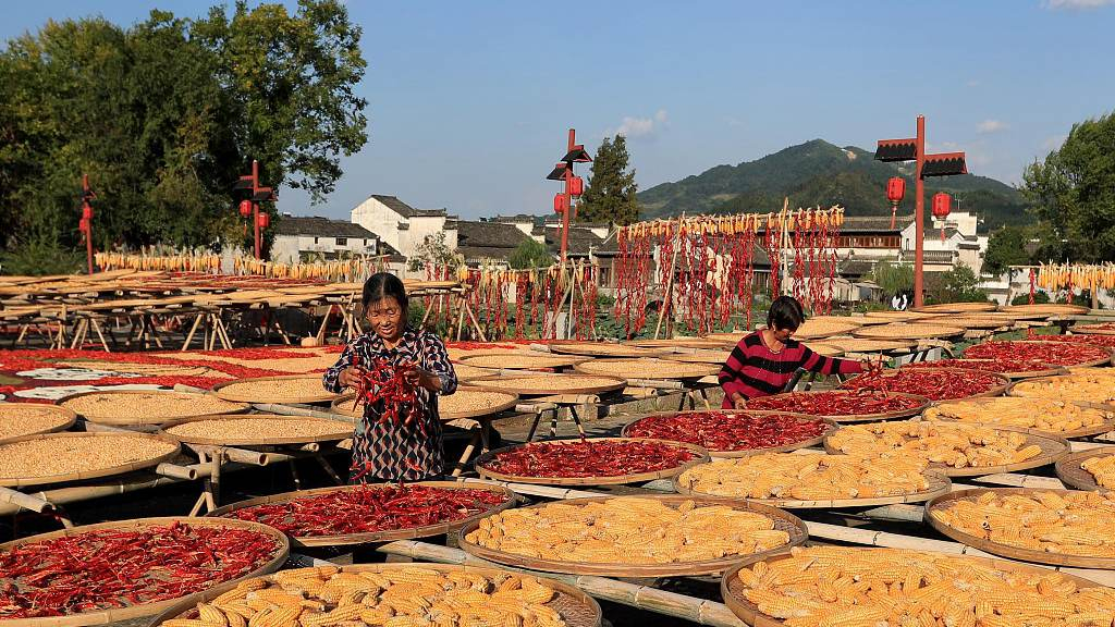 Harvest Festival celebrated across China CGTN