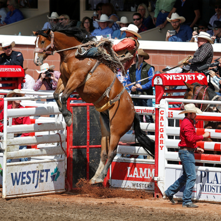 Rodeo festival kicks off in Canada - CGTN