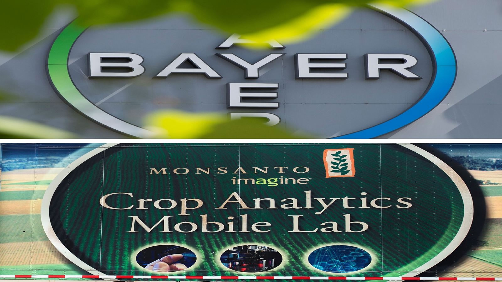 Bayer’s Merge With Monsanto Gets Conditional Nod From China - CGTN