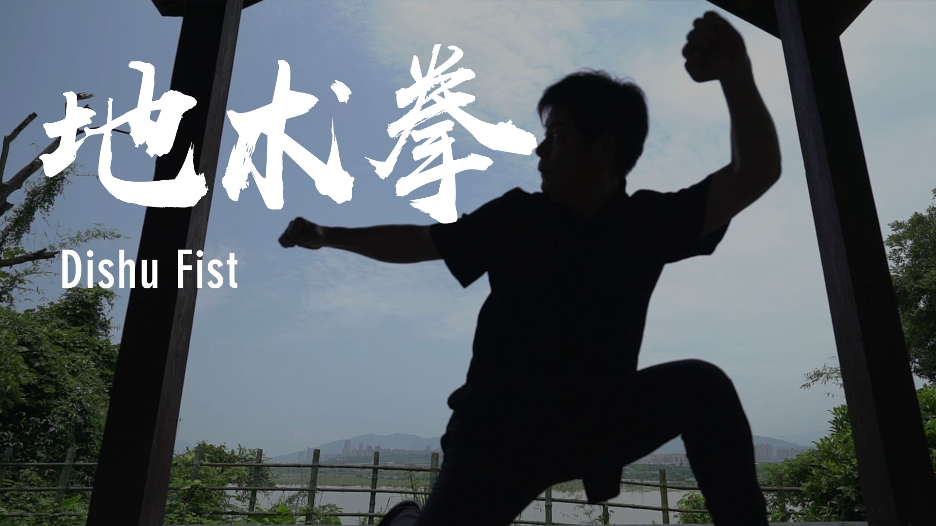 Dishu Fist: Merging traditional martial arts with people's lives