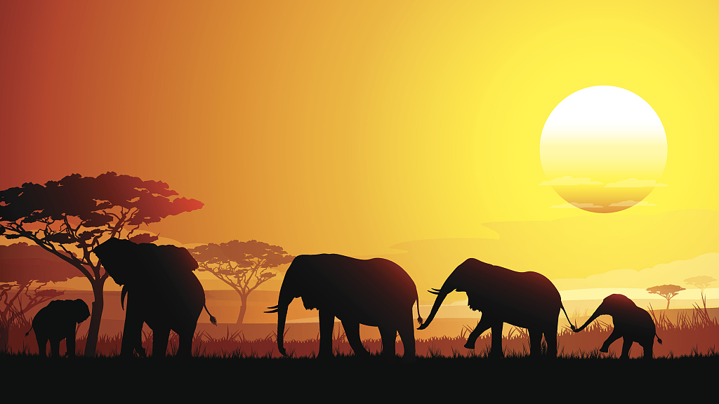 Experts warn of endangered species' extinction at global meeting