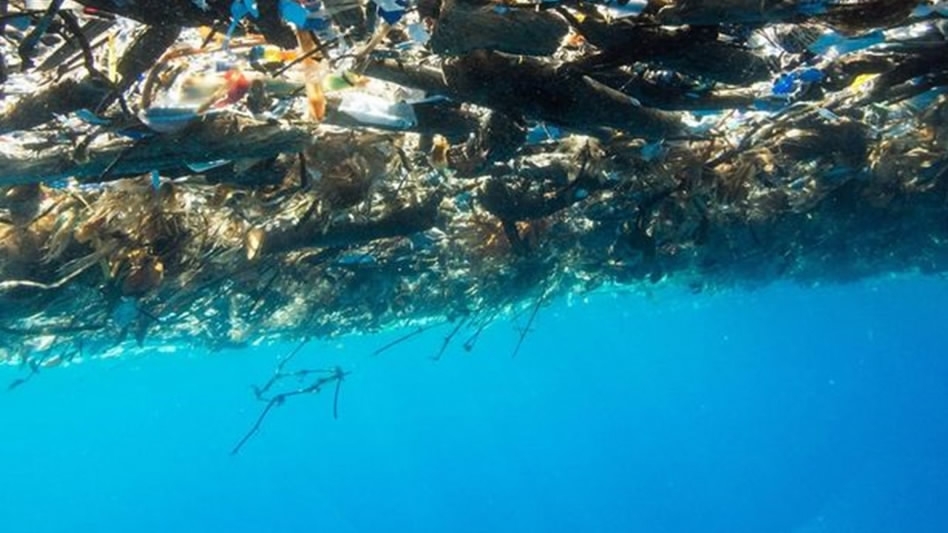 Pictures of ‘plastic sea’ near Honduras shock netizens - CGTN