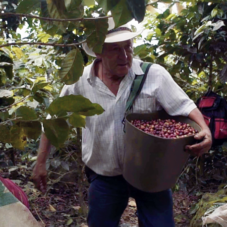 A Journey Along Colombia S Coffee Trail CGTN   1f869135d5e348d9be367bf700b2c981 2 