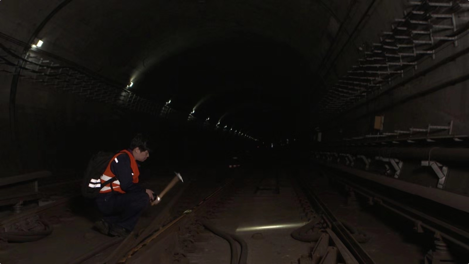 Protector in the dark