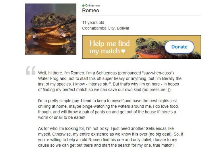 frog dating site