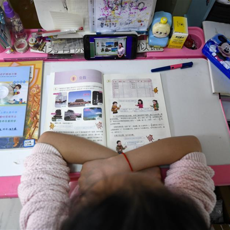 Chinese schools switch to online education amid coronavirus outbreak - CGTN