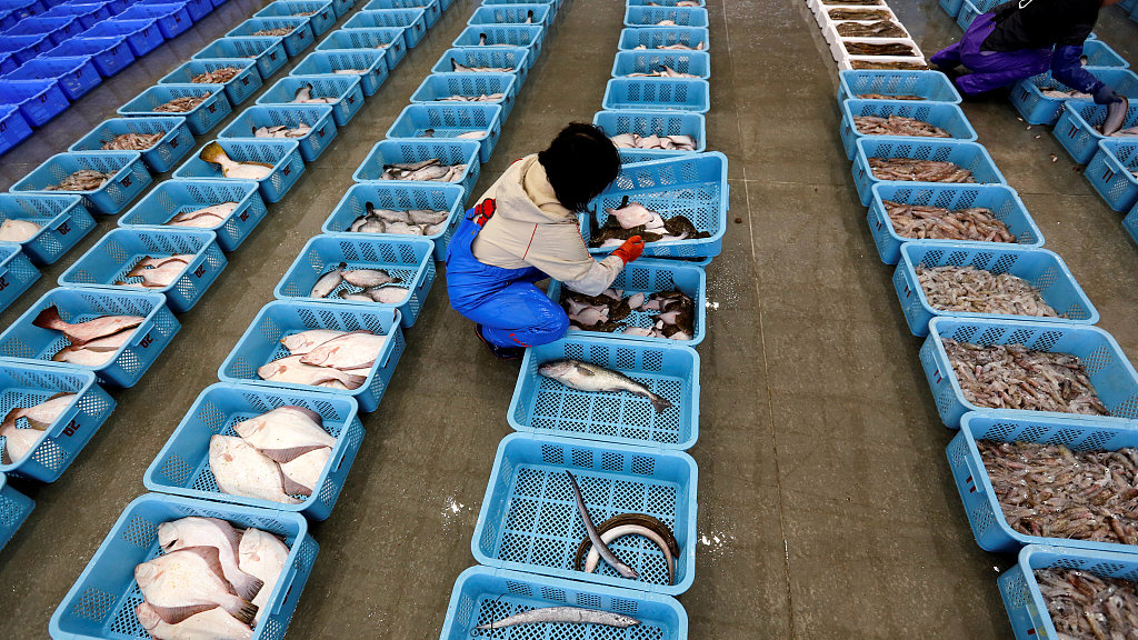 Japan Grapples With Serving Fukushima Food At Olympics Cgtn