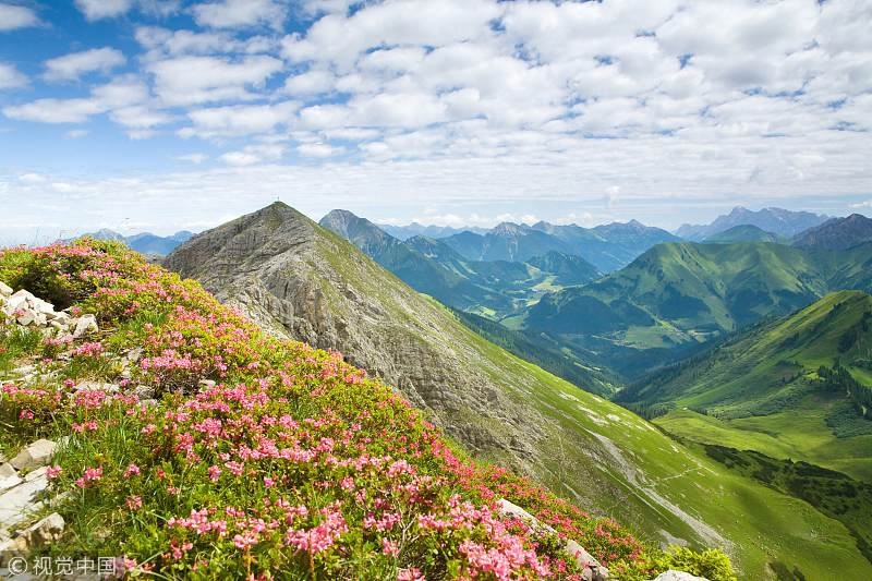 Climate change makes mountain tops bloom, for now - CGTN