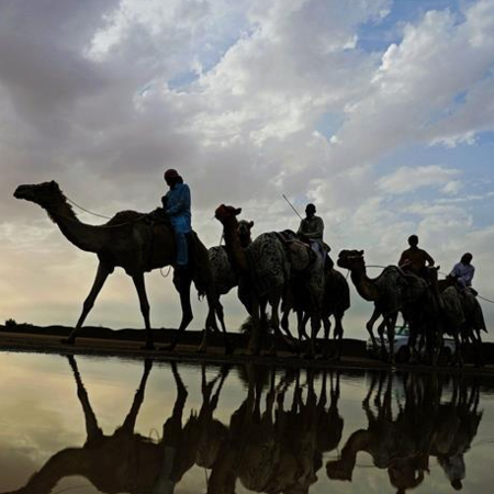 Live Camel Racing With Robot Jockeys In Abu Dhabi Cgtn