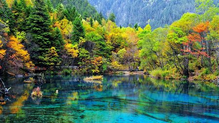 Quake-shattered Jiuzhaigou National Park resumes normal operation - CGTN