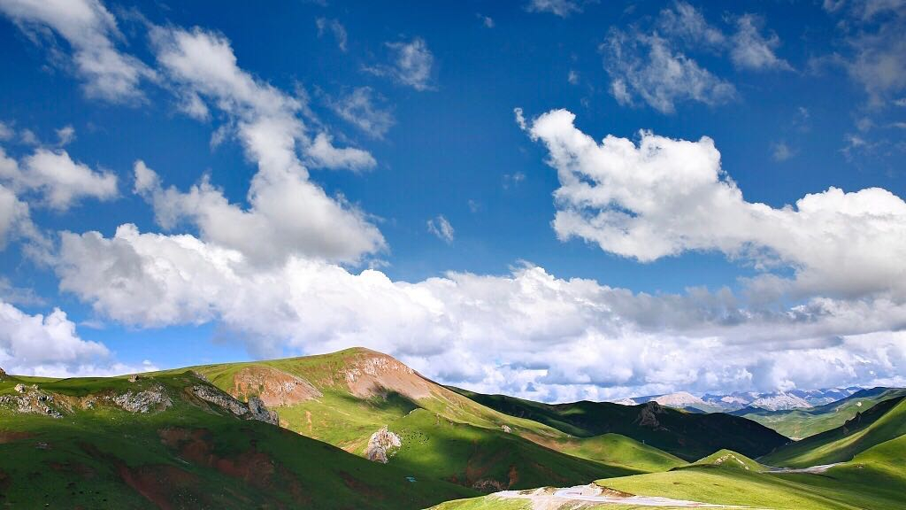 Grass planting restores ecological environment on 'Roof of the World'