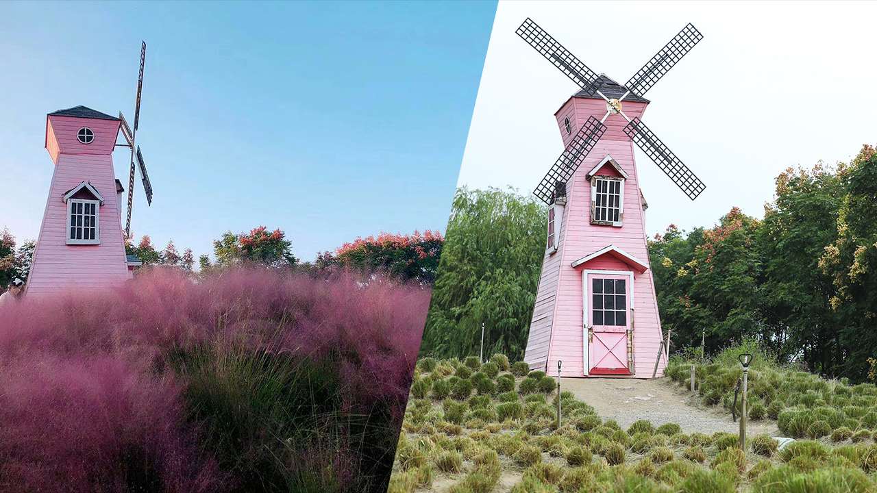 Taman rumput merah muda sebelum dan sesudah dipotong