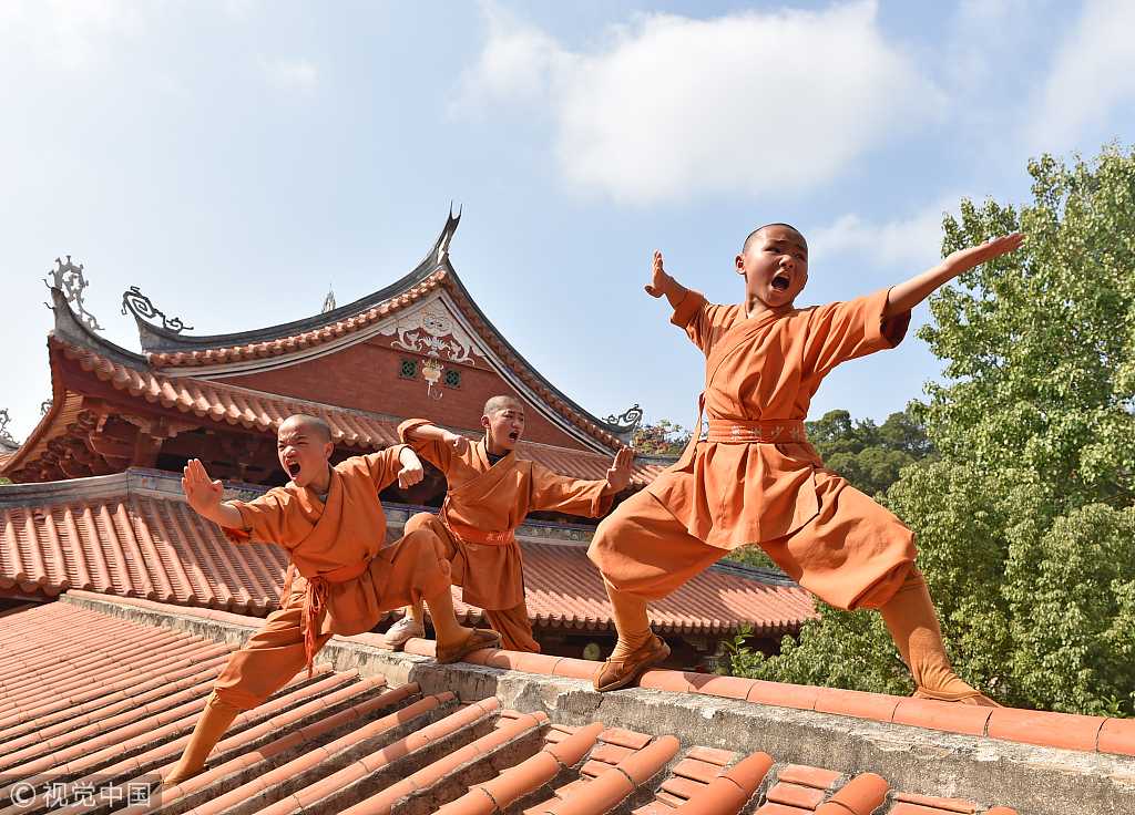 shaolin monks kung fu