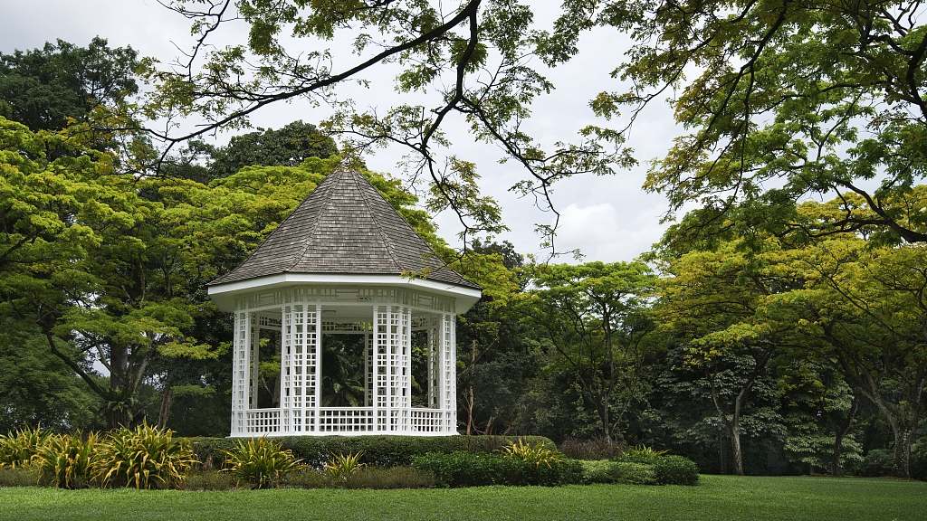 Singapore Botanic Gardens - CGTN