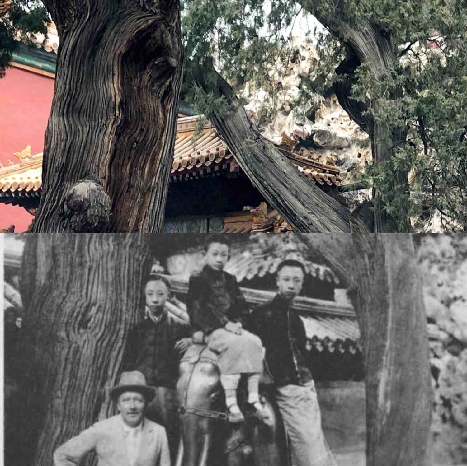 World Photography Day: The history of photography at the Forbidden City -  CGTN