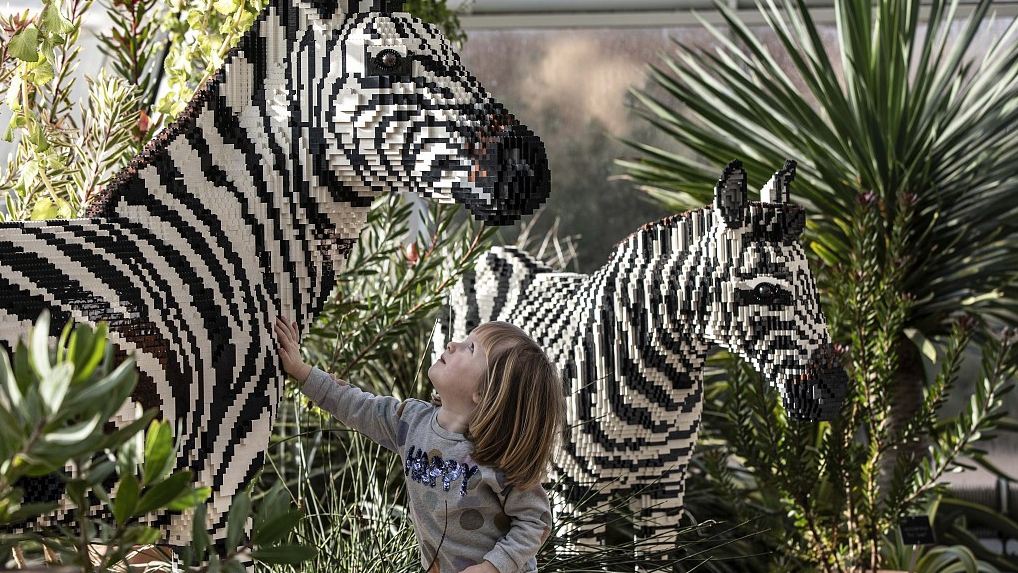 Grande mattone Safari 2019, uccello del paradiso fatto di Lego, giardino  RHS Wisley, Woking, Surrey, Inghilterra, Gran Bretagna, Regno Unito, Gran  Bretagna, Europa Foto stock - Alamy