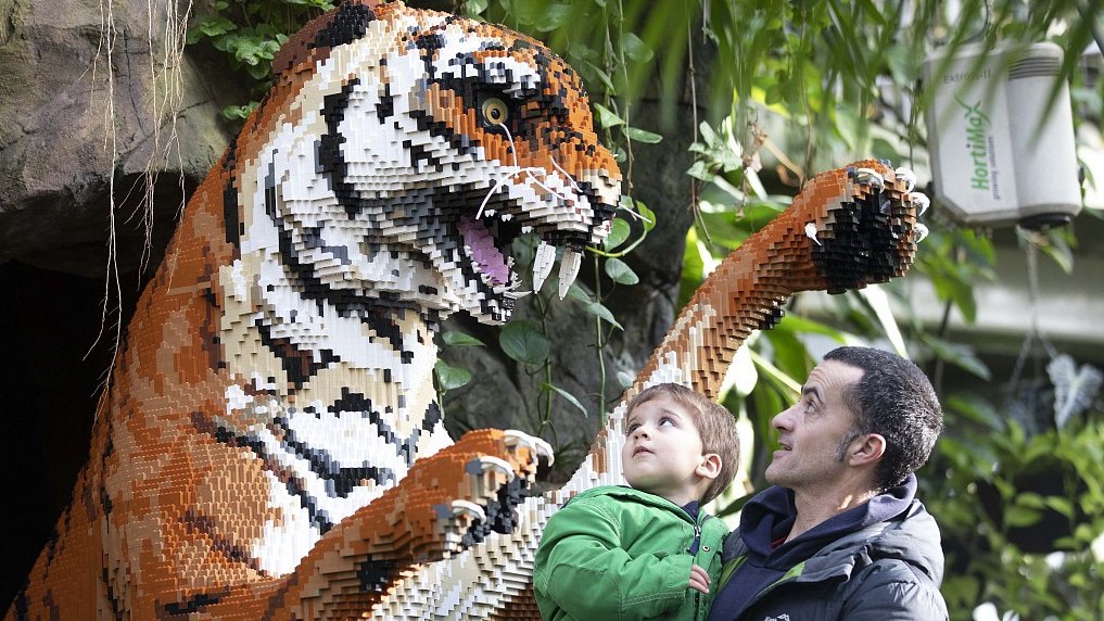 Grande mattone Safari 2019, uccello del paradiso fatto di Lego, giardino  RHS Wisley, Woking, Surrey, Inghilterra, Gran Bretagna, Regno Unito, Gran  Bretagna, Europa Foto stock - Alamy