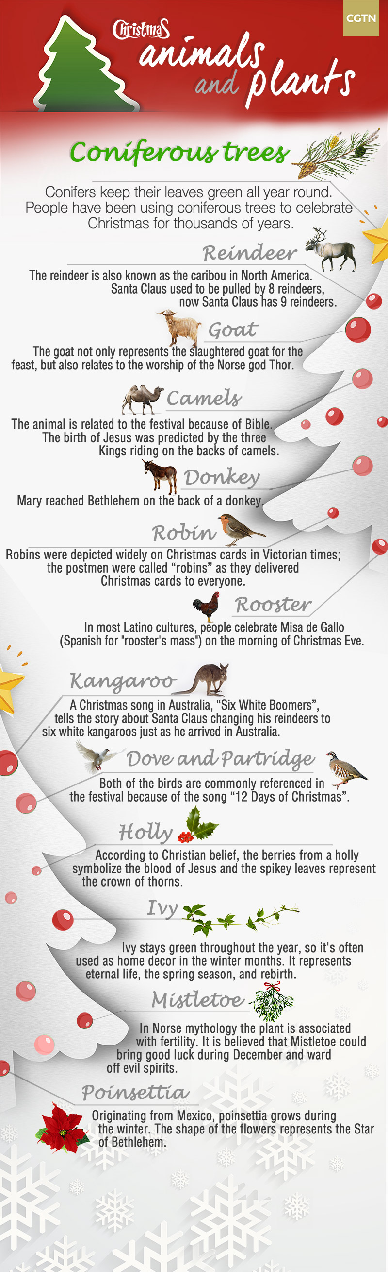 The animals and plants that symbolize Christmas CGTN