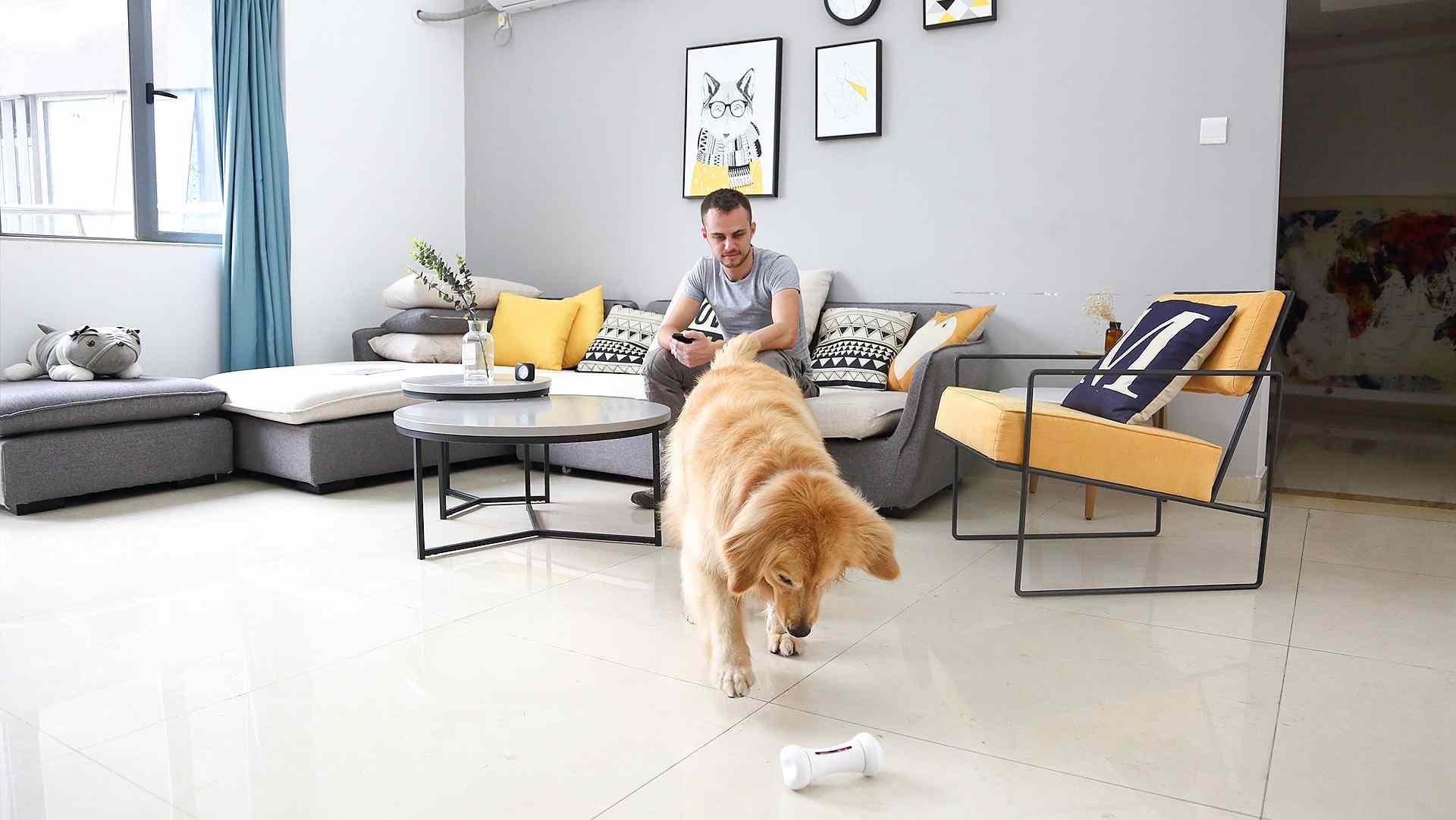 WICKEDBONE: World's First Smart & Interactive Dog Toy