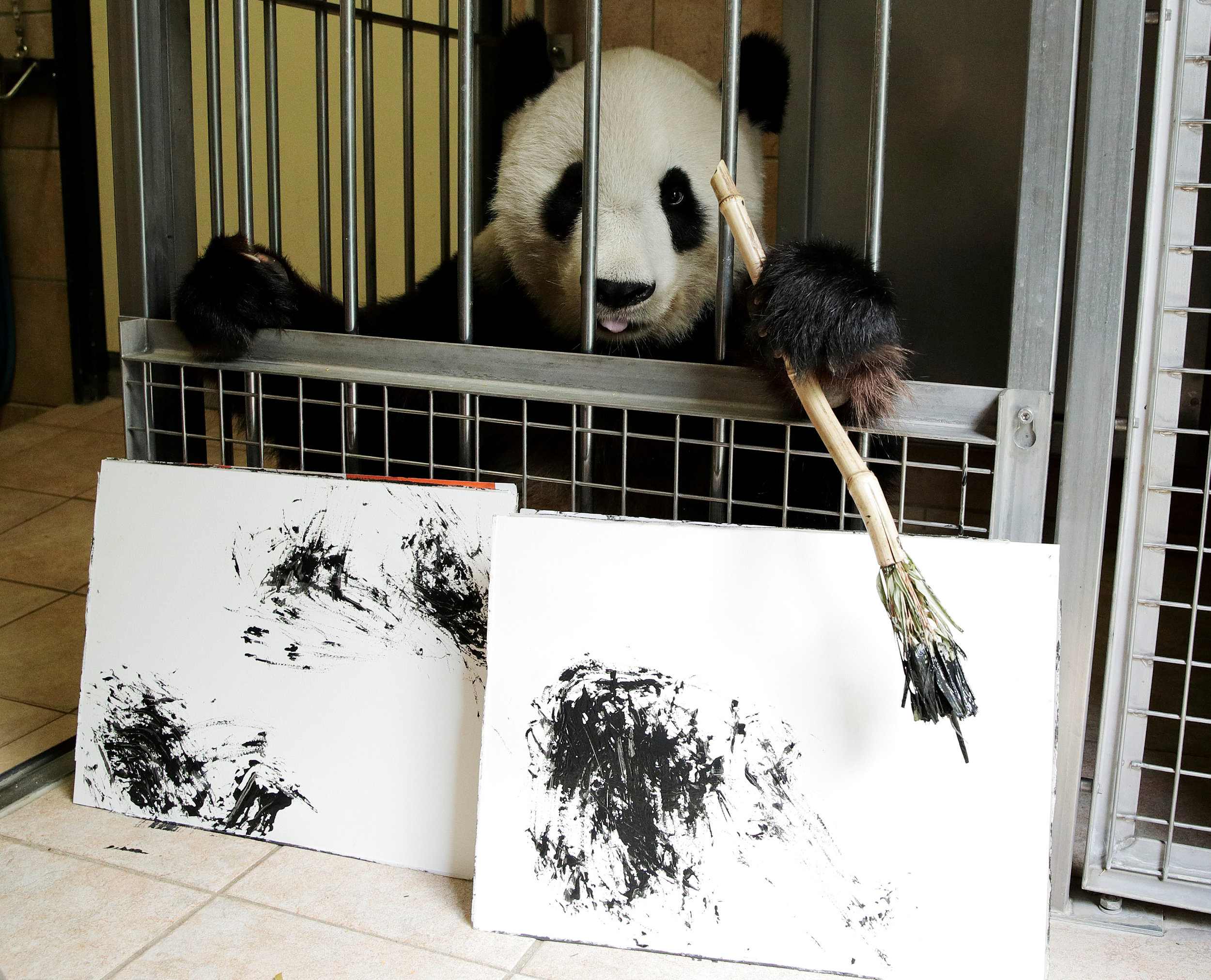 what-does-a-panda-s-artwork-look-like-cgtn