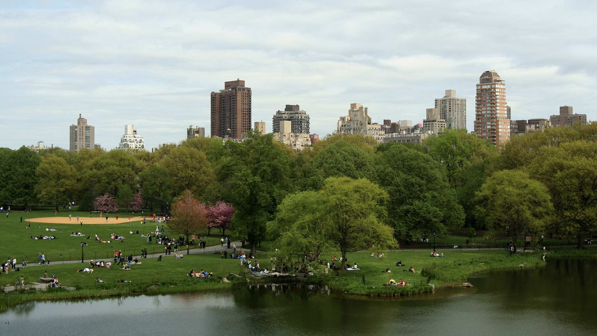 New York's Central Park goes officially car-free - CGTN
