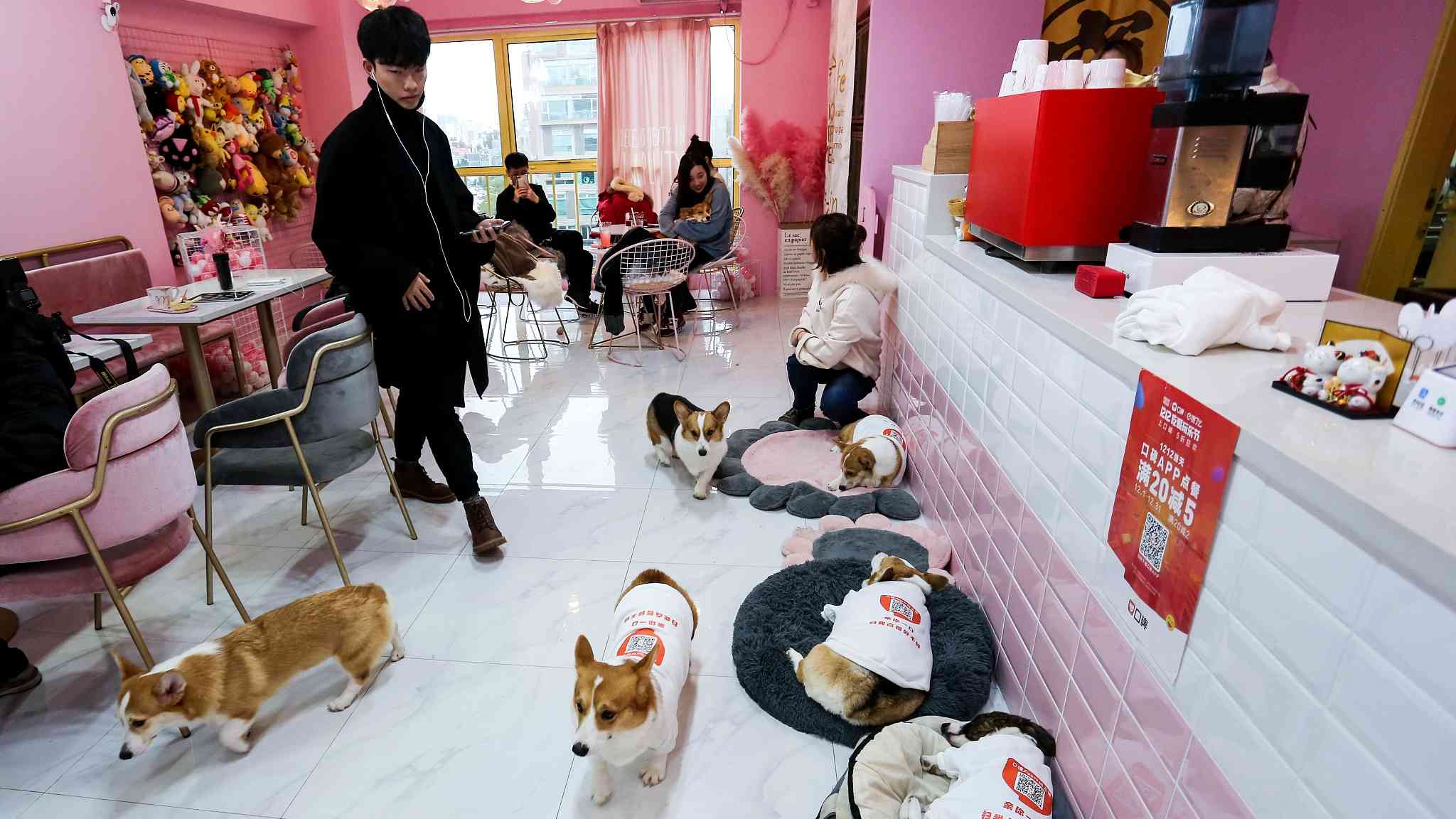 https://news.cgtn.com/news/3d3d514f30556a4d31457a6333566d54/img/cafa10f56fd54dc1b4cd7db5307379a4/cafa10f56fd54dc1b4cd7db5307379a4.jpg?t=2018-12-12%2015:13:46
