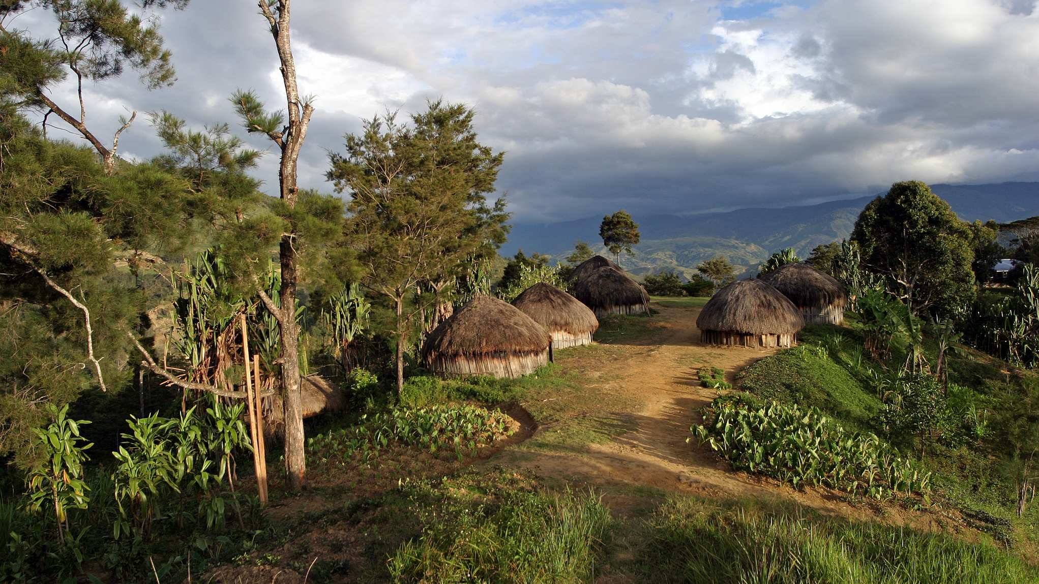 papua new guinea: a new gold mountain?