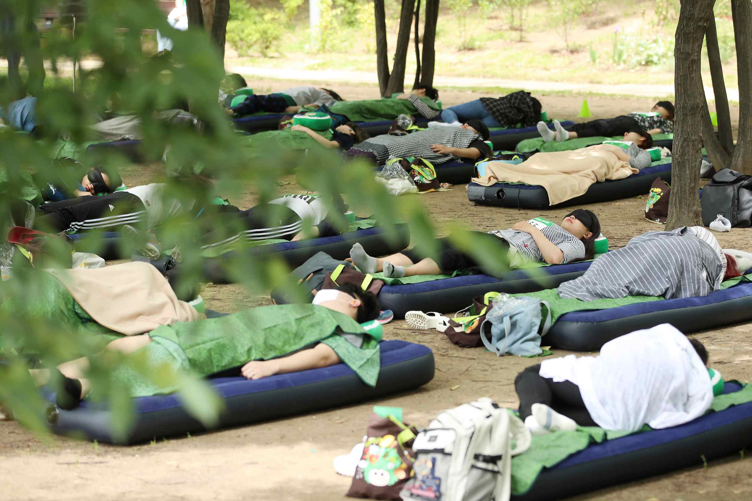 Snoozing contest held in Seoul Forest Park CGTN