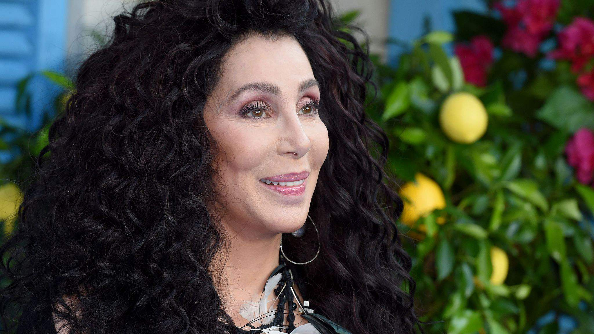 Cher to release album of Abba covers after Mamma Mia 