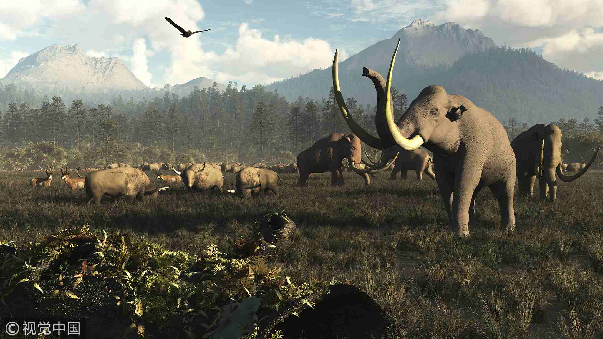 Human Ancestors No Culprit For Giant African Mammal Extinction - CGTN