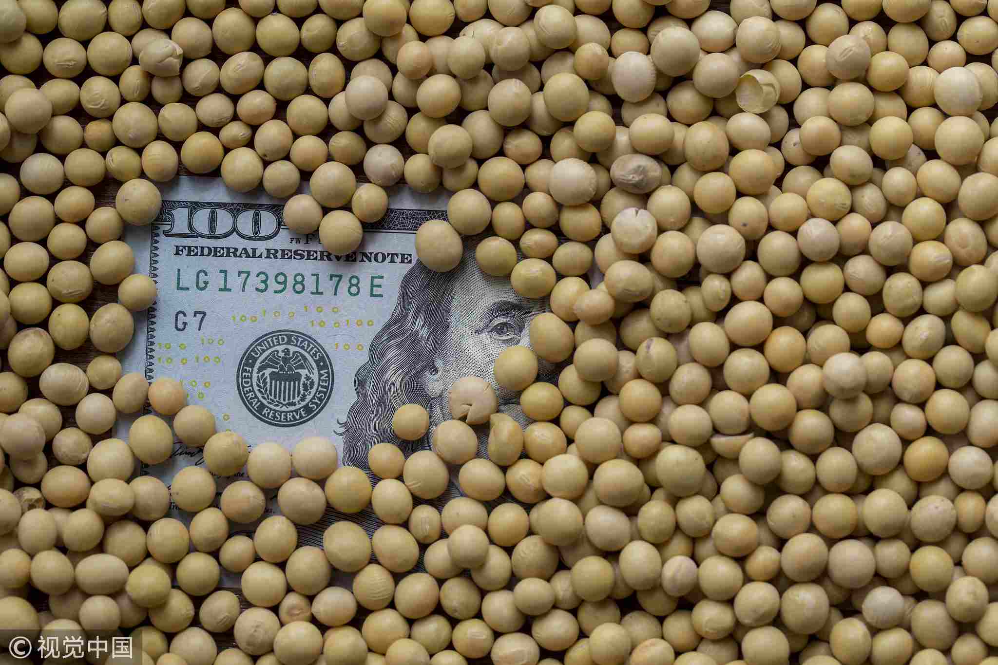 Does the EU have the appetite to swallow all the US soybeans? - CGTN