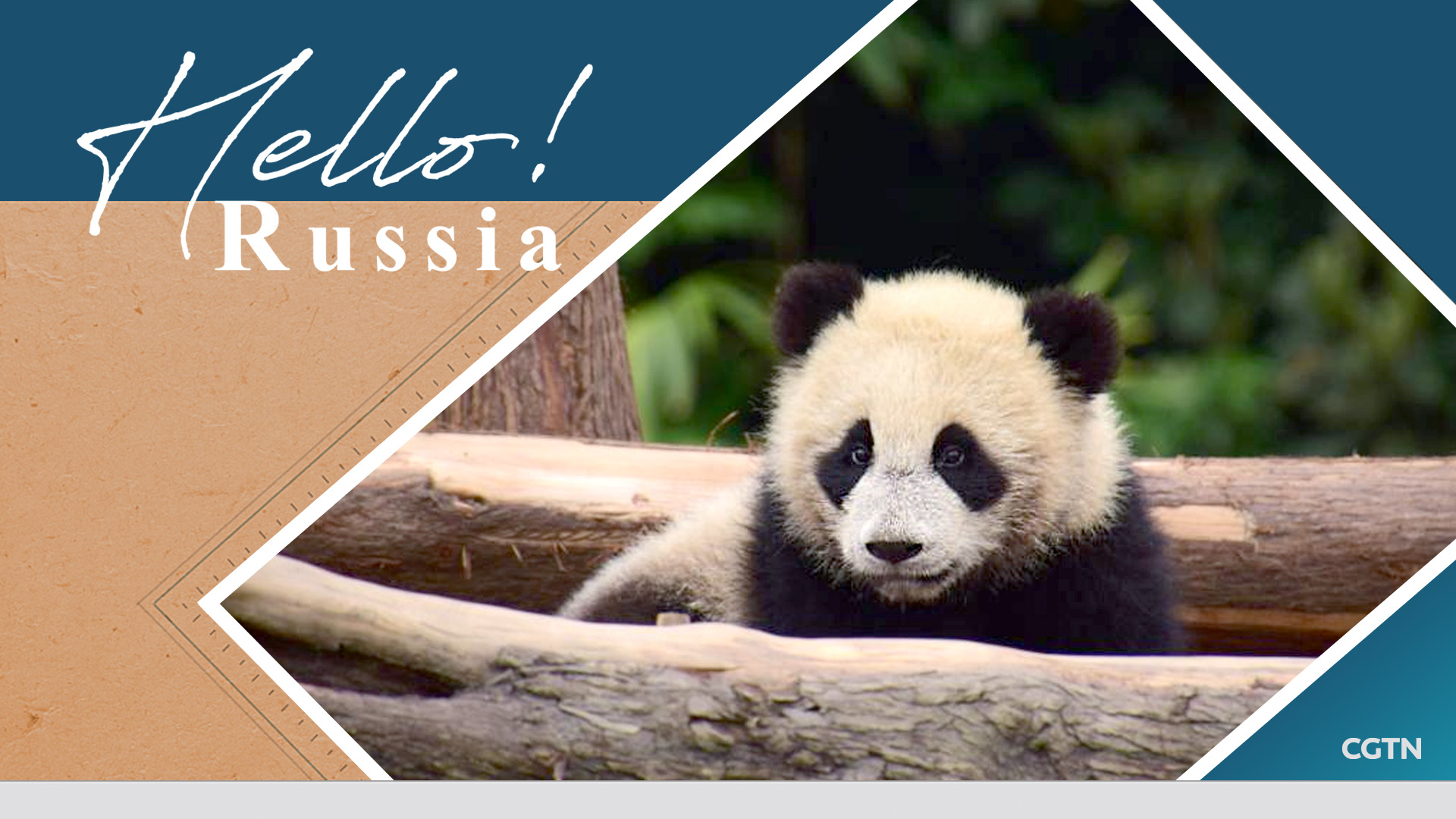 Ryazan, Russia - May 20, 2018: Homepage Of Panda Website On The